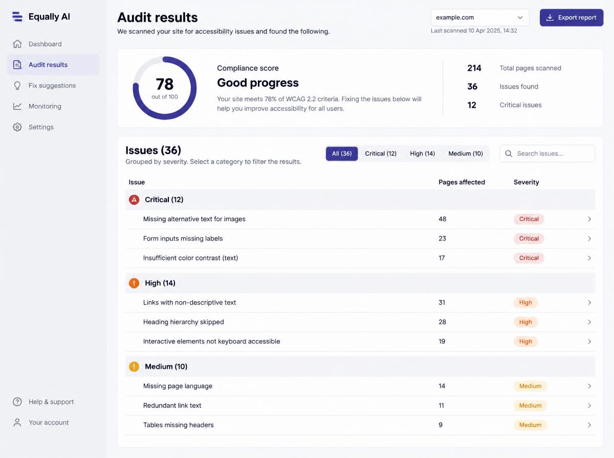 Equally AI audit results grouped by accessibility requirement with clear priority and status